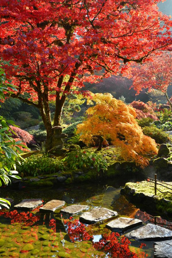 日本庭園