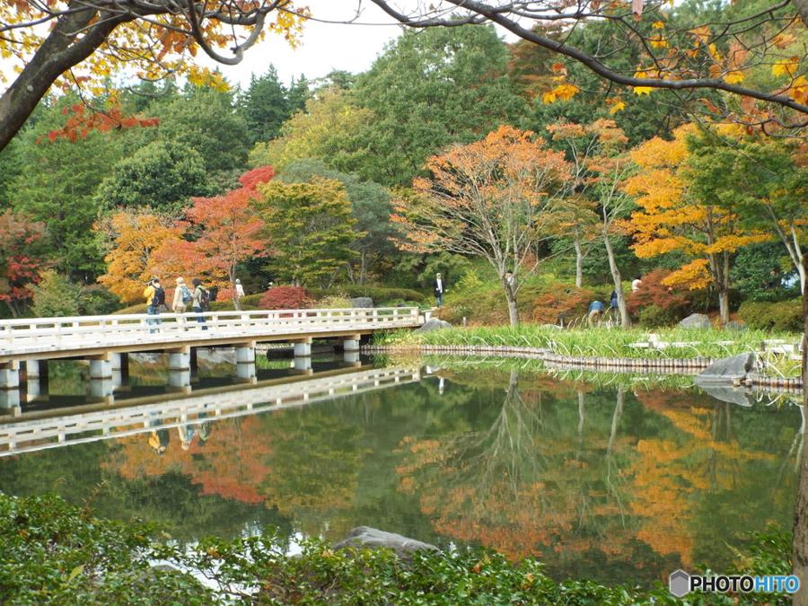 日本庭園