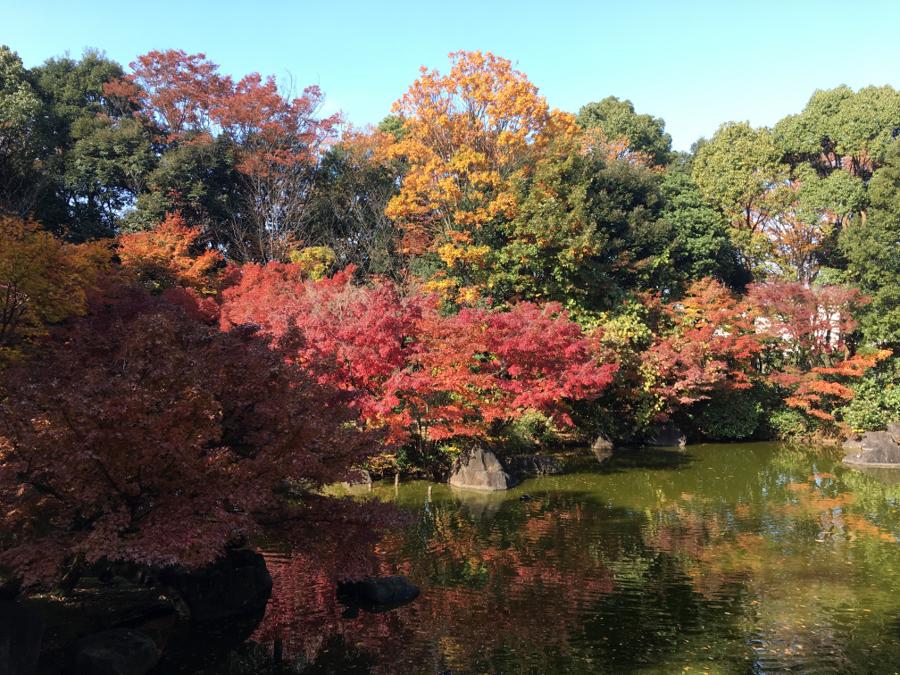 日本庭園