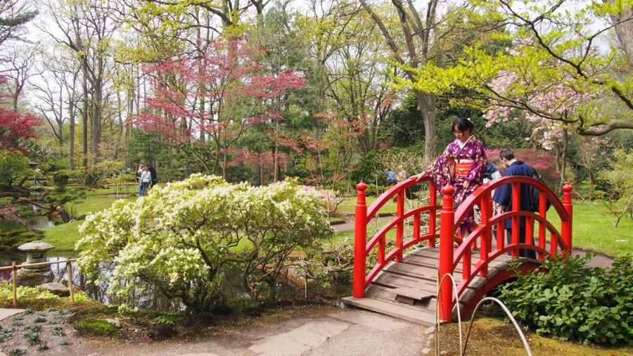 日本庭園