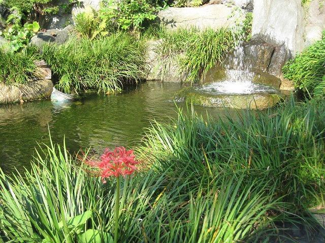日本庭園
