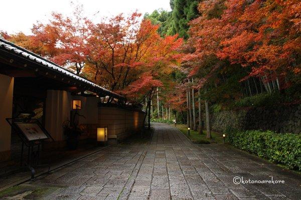 日本庭園
