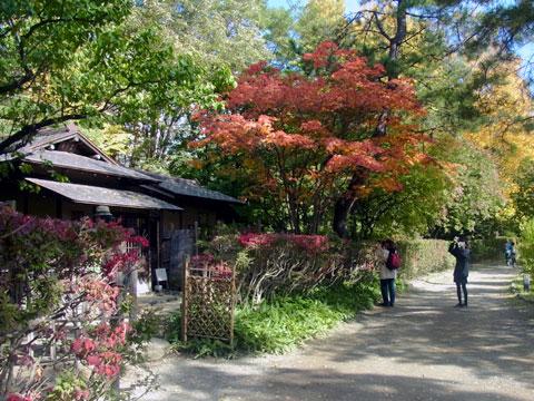 日本庭園