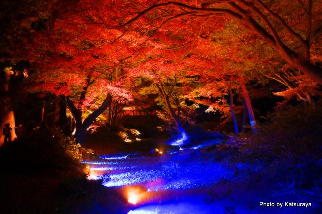 日本庭園