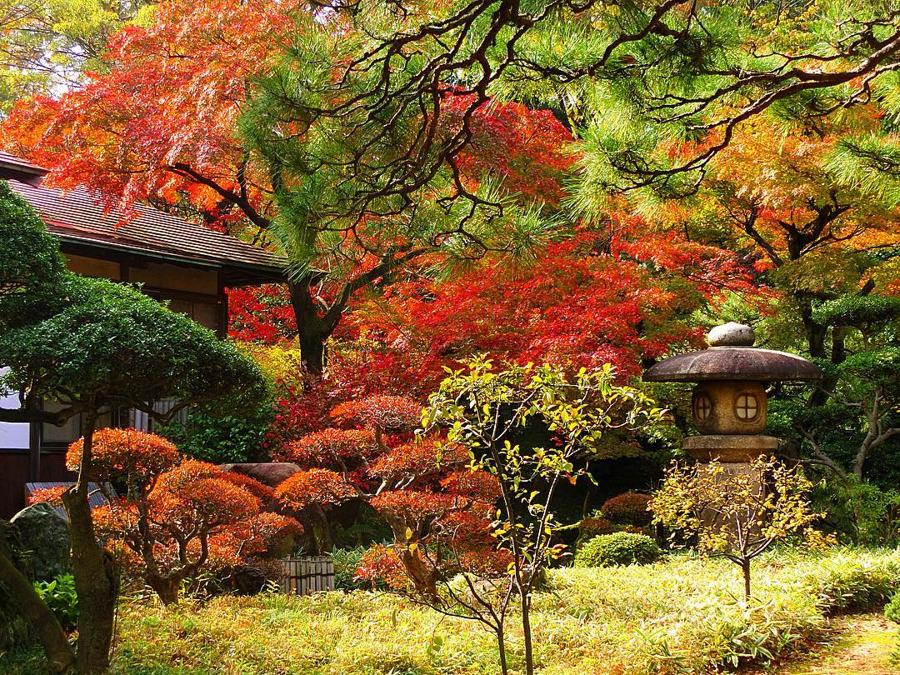 日本庭園