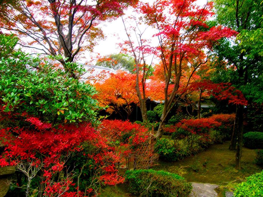 日本庭園