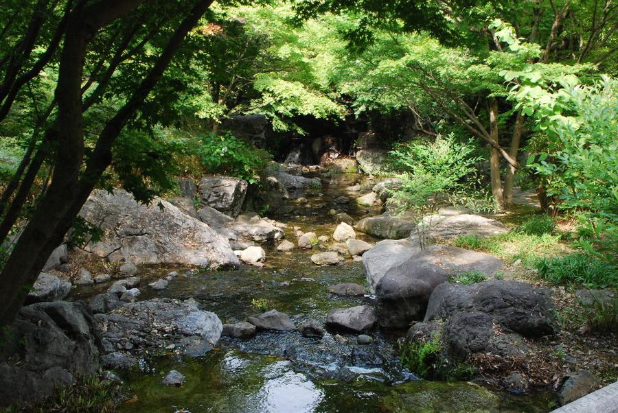 日本庭園