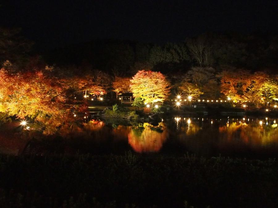 日本庭園