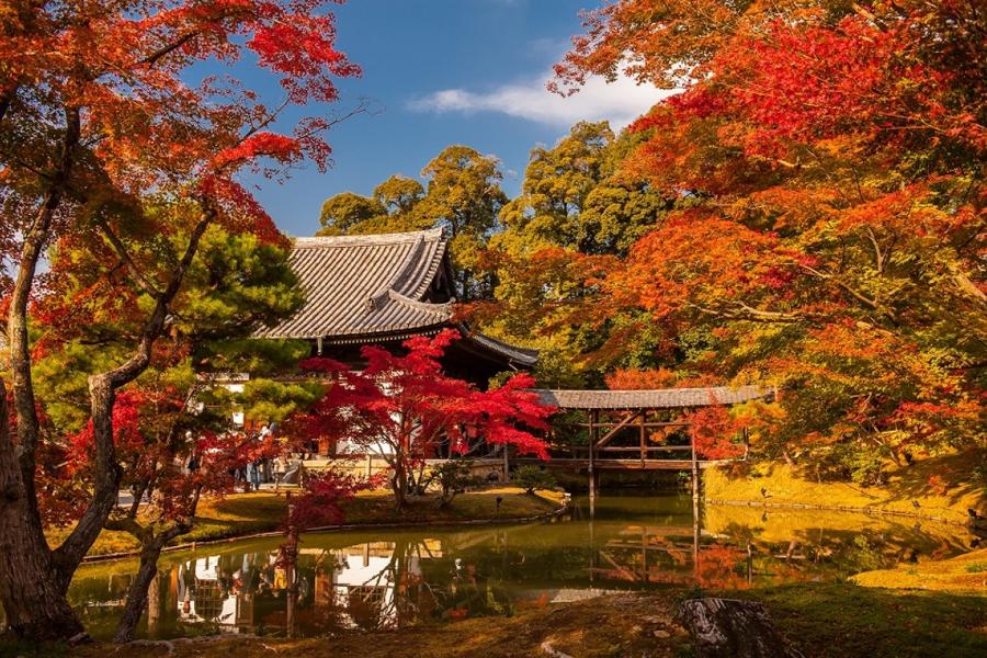 日本庭園