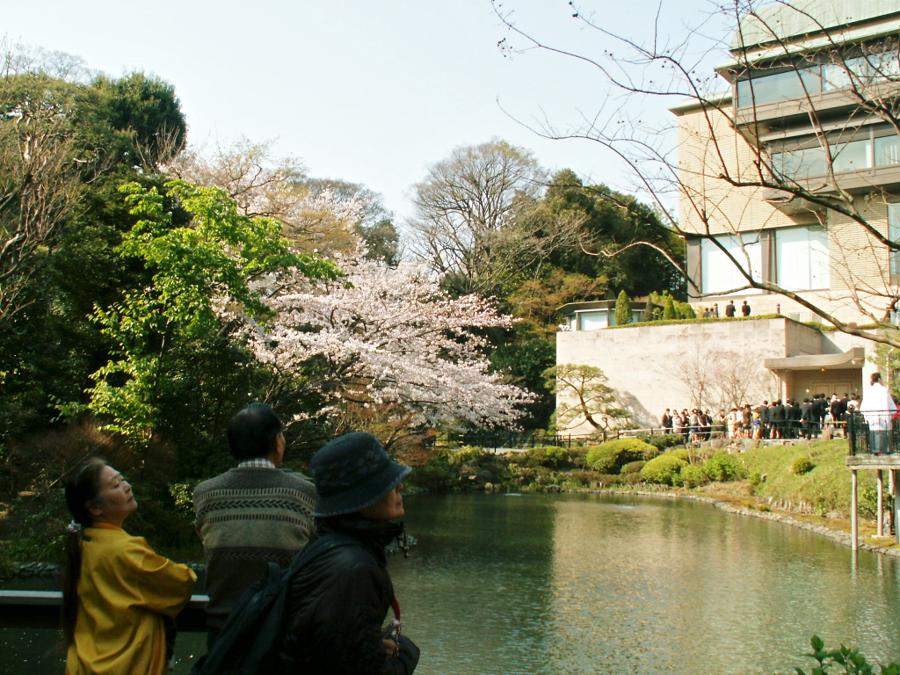 日本庭園