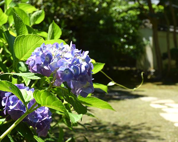 日本庭園