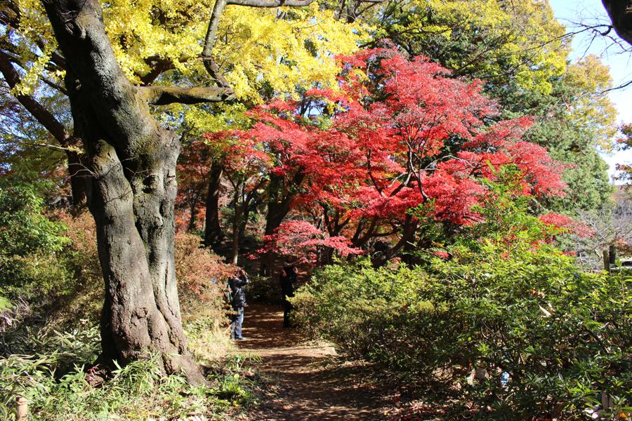 日本庭園