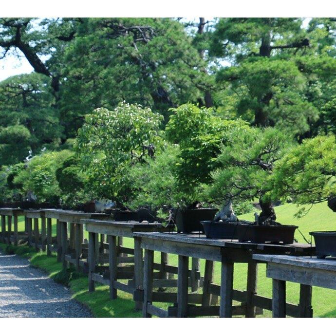 日本庭園