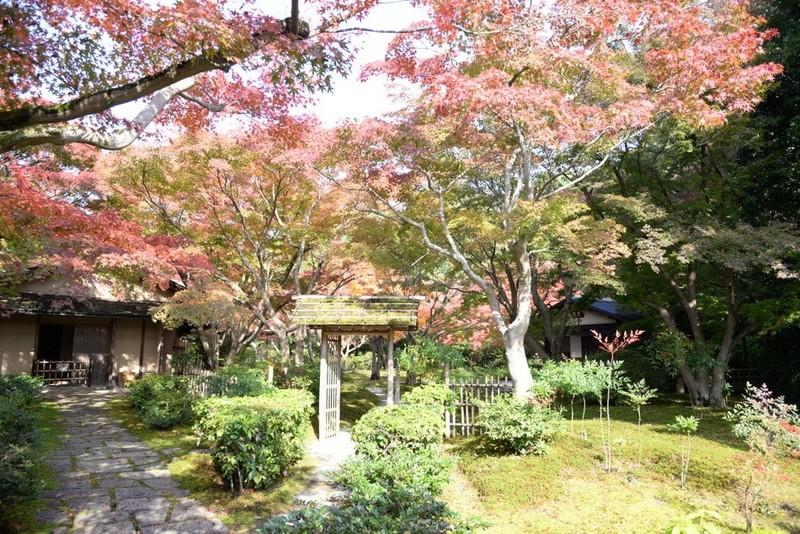 日本庭園