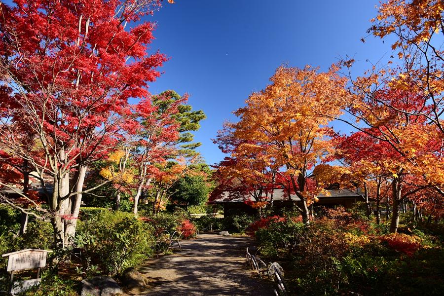 日本庭園