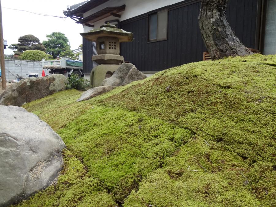 日本庭園