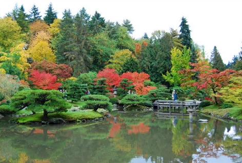 日本庭園