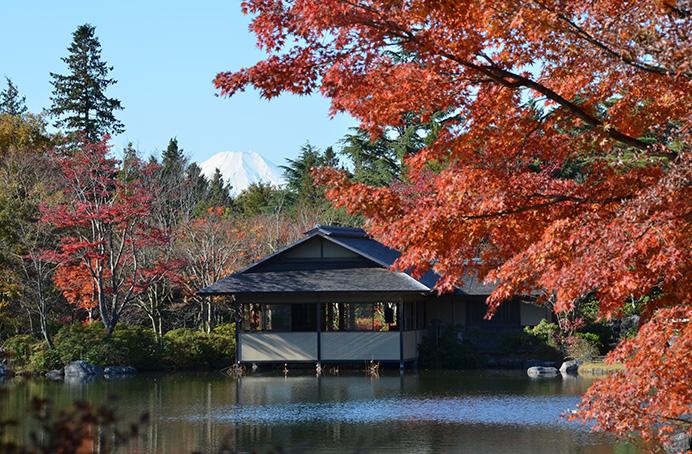 日本庭園