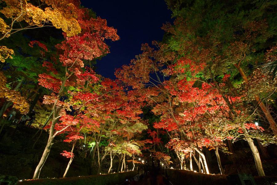 日本庭園