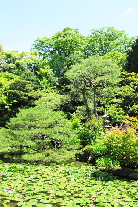 日本庭園