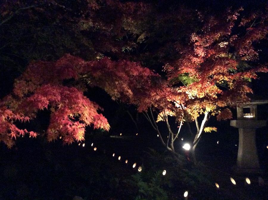 日本庭園