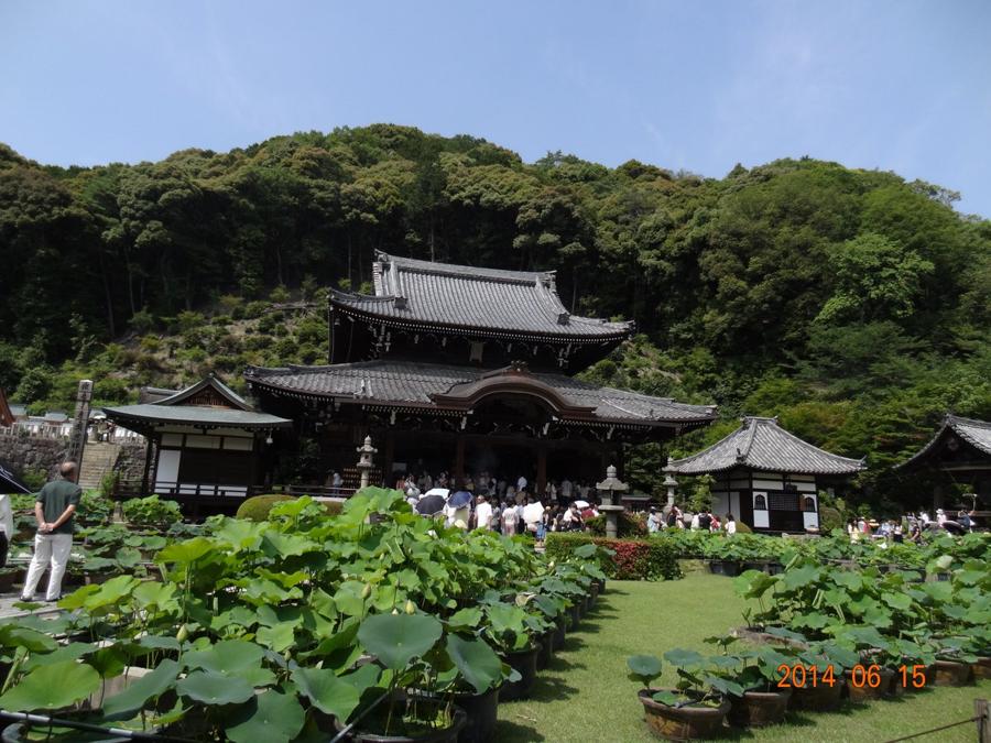 日本庭園