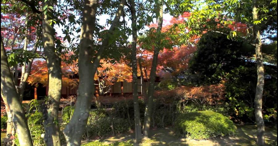 日本庭園