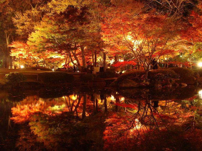 日本庭園