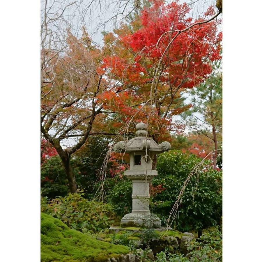 日本庭園