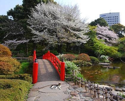 日本庭園
