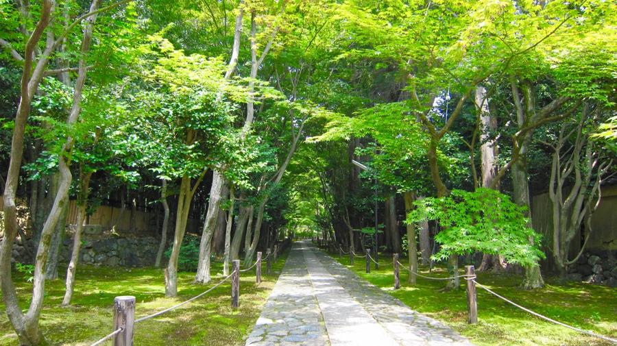 日本庭園