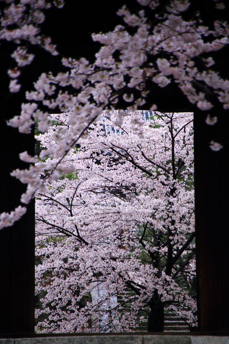 日本庭園
