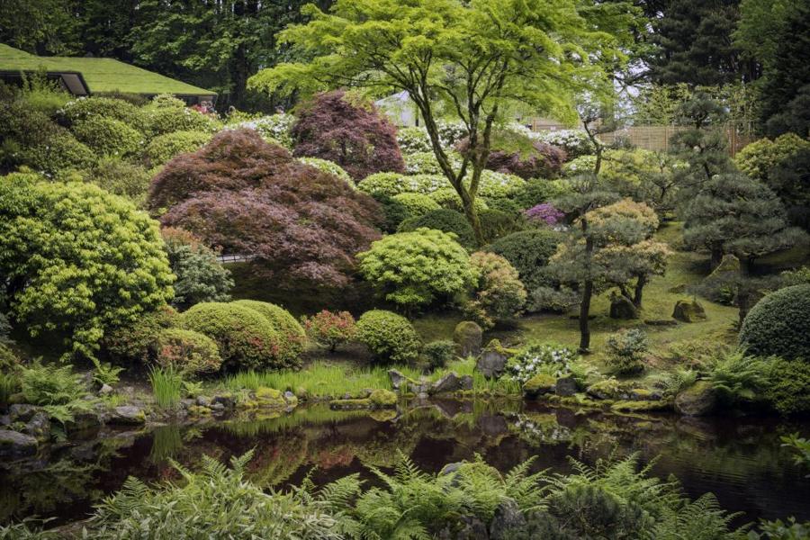 日本庭園