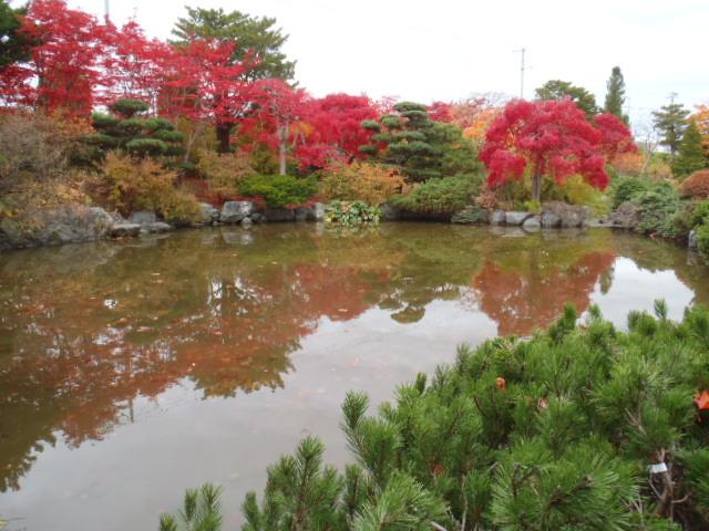 日本庭園