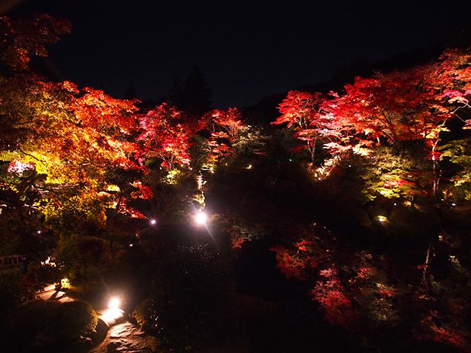 日本庭園