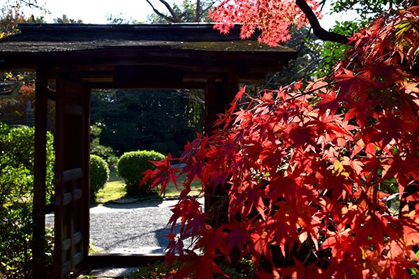 日本庭園