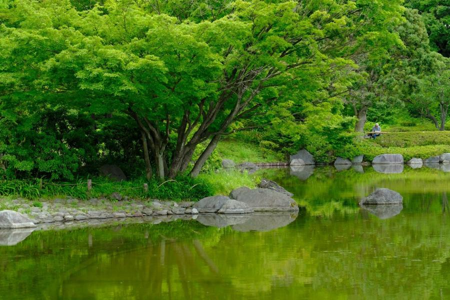 日本庭園