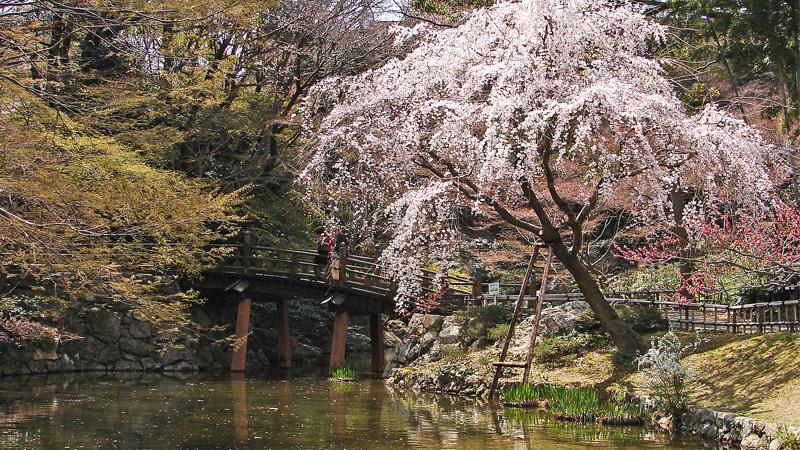 日本庭園