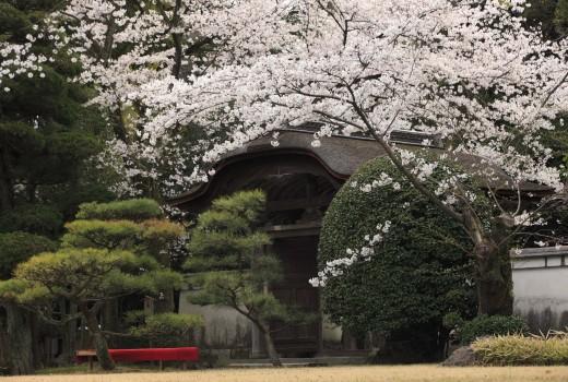 日本庭園