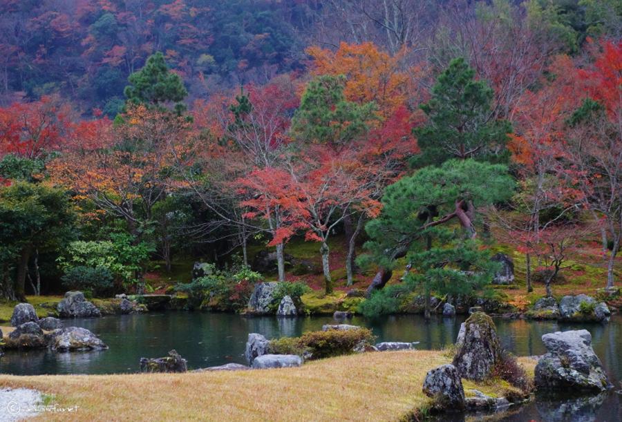 日本庭園