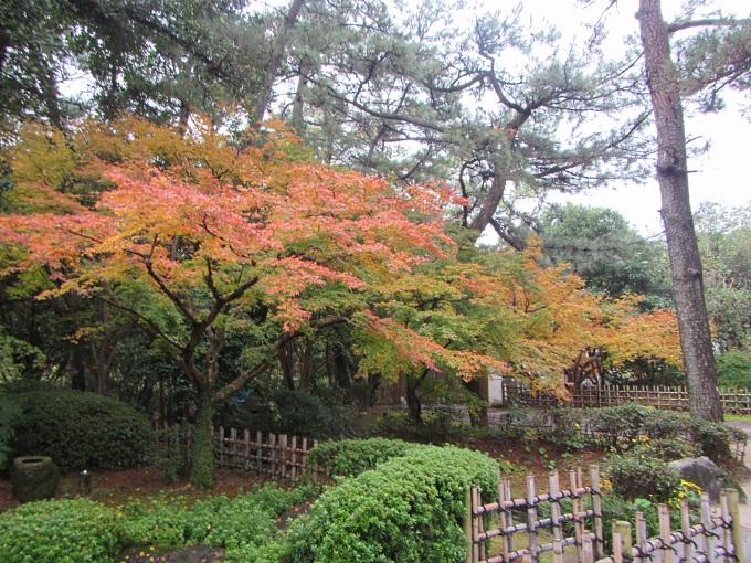 日本庭園