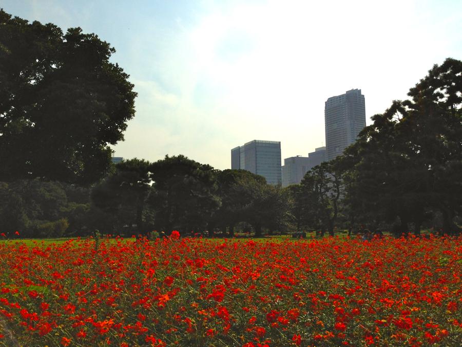 日本庭園