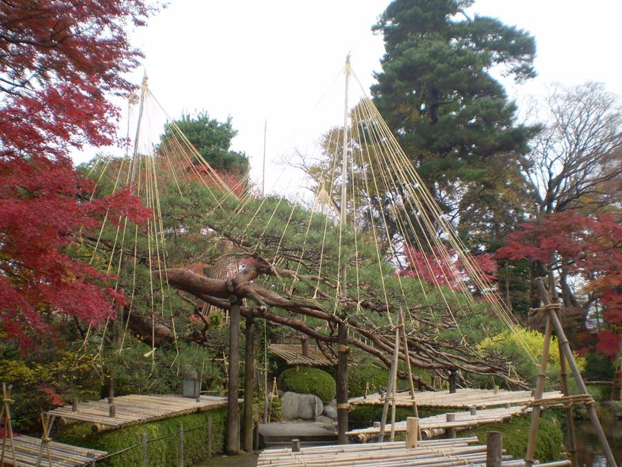 日本庭園