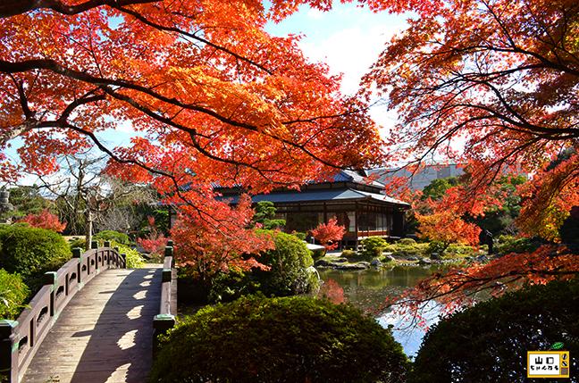 日本庭園