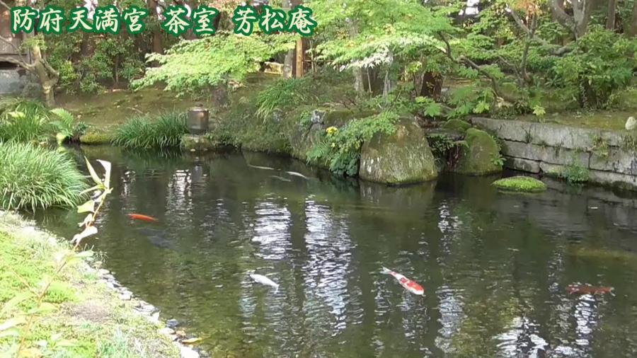 日本庭園