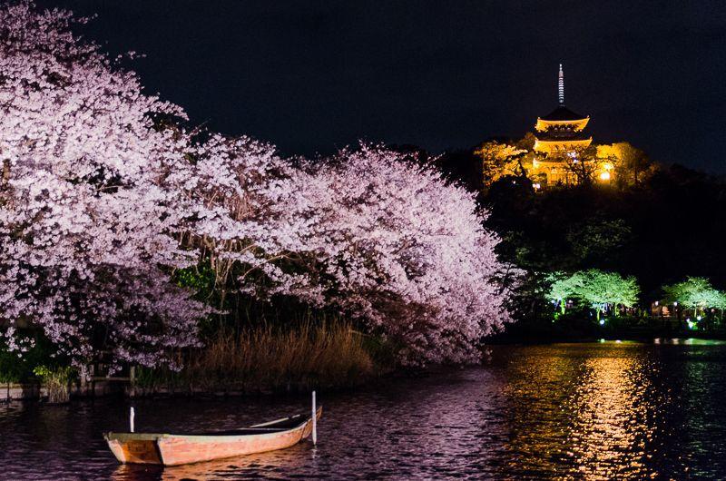 日本庭園