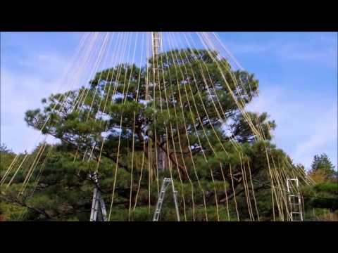 日本庭園