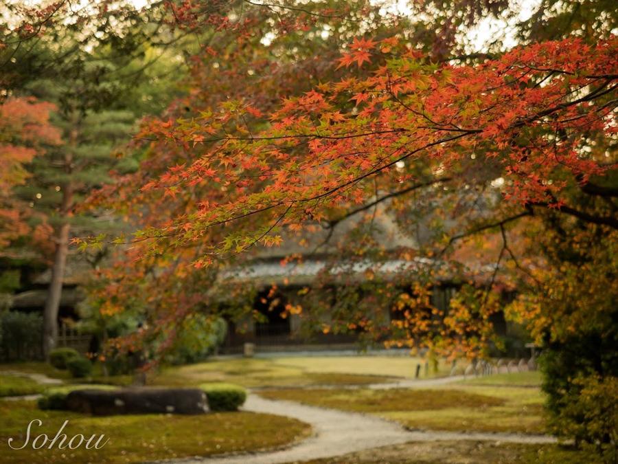 日本庭園