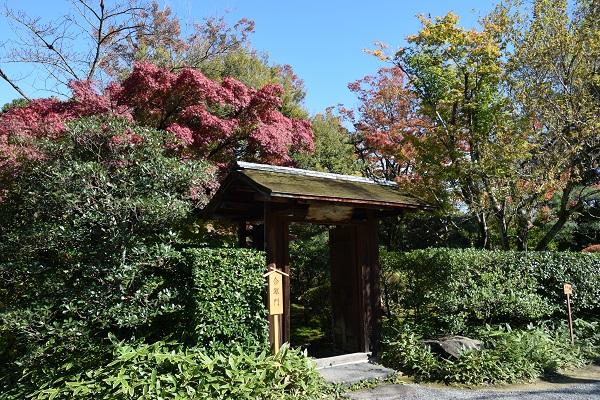 日本庭園