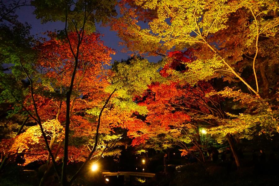 日本庭園